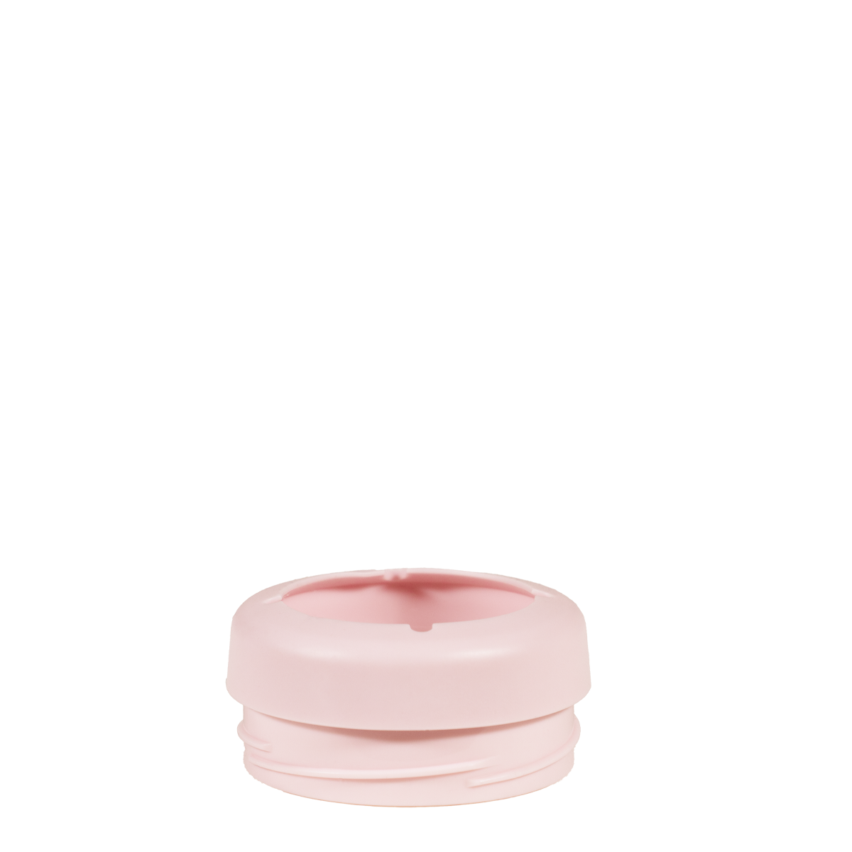 bouquet-v0 RegCan-Bouquet-WPI-3_74906025-964c-42c2-a1ef-e4df82fdd609.png
