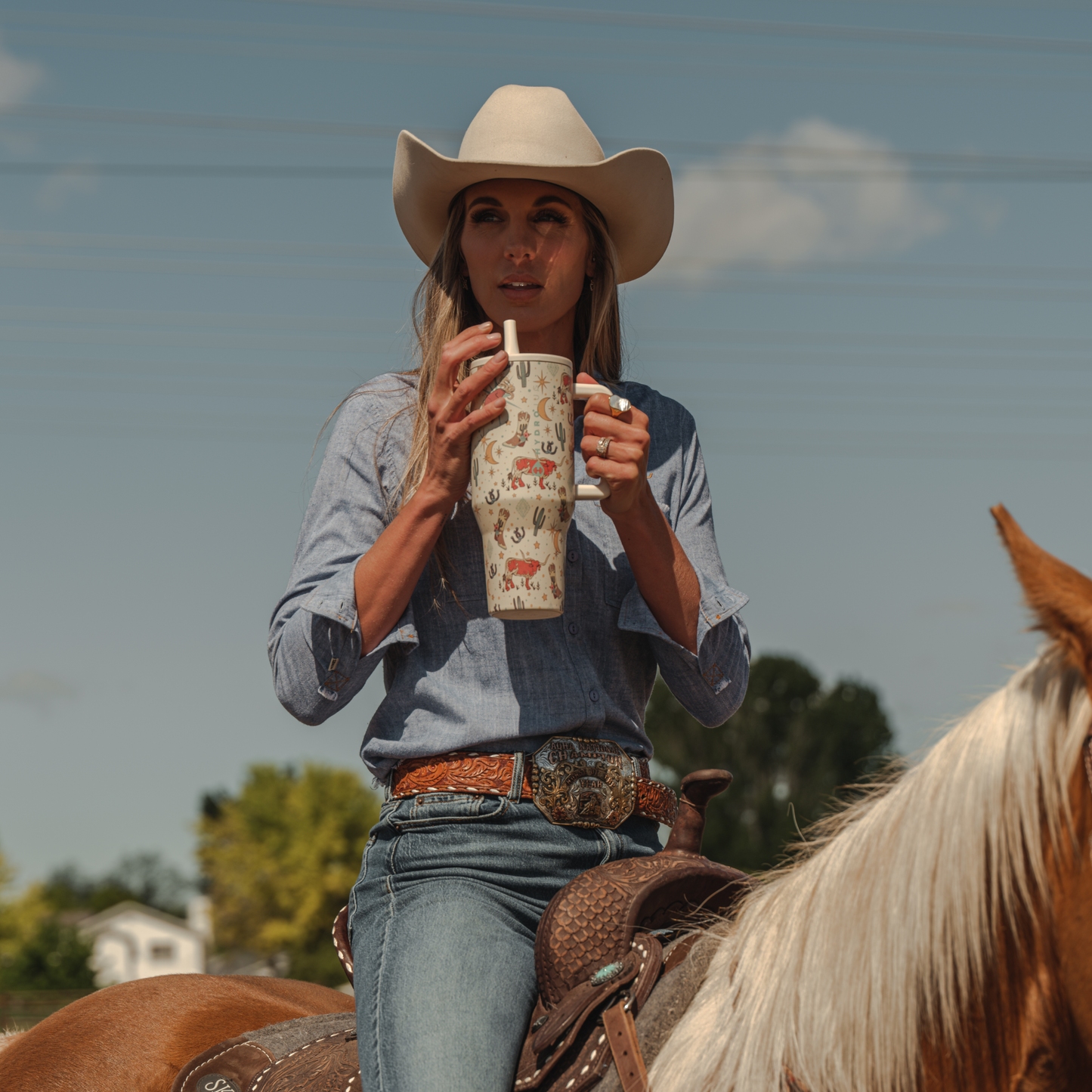 rodeo-i1 TRVL-Rodeo-6WPI.png
