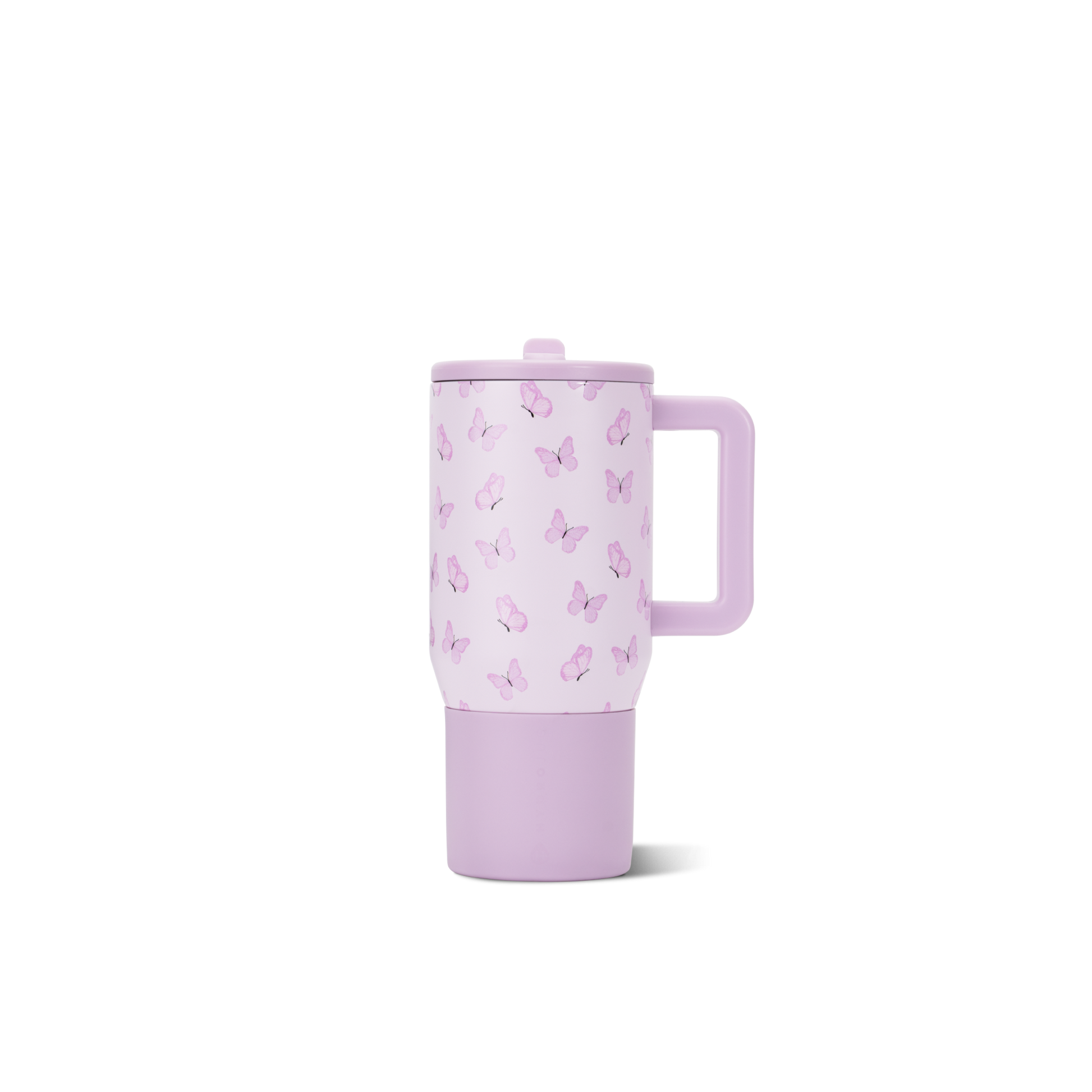 flutter-y9 TRVL20-Flutter-1-WPI.png