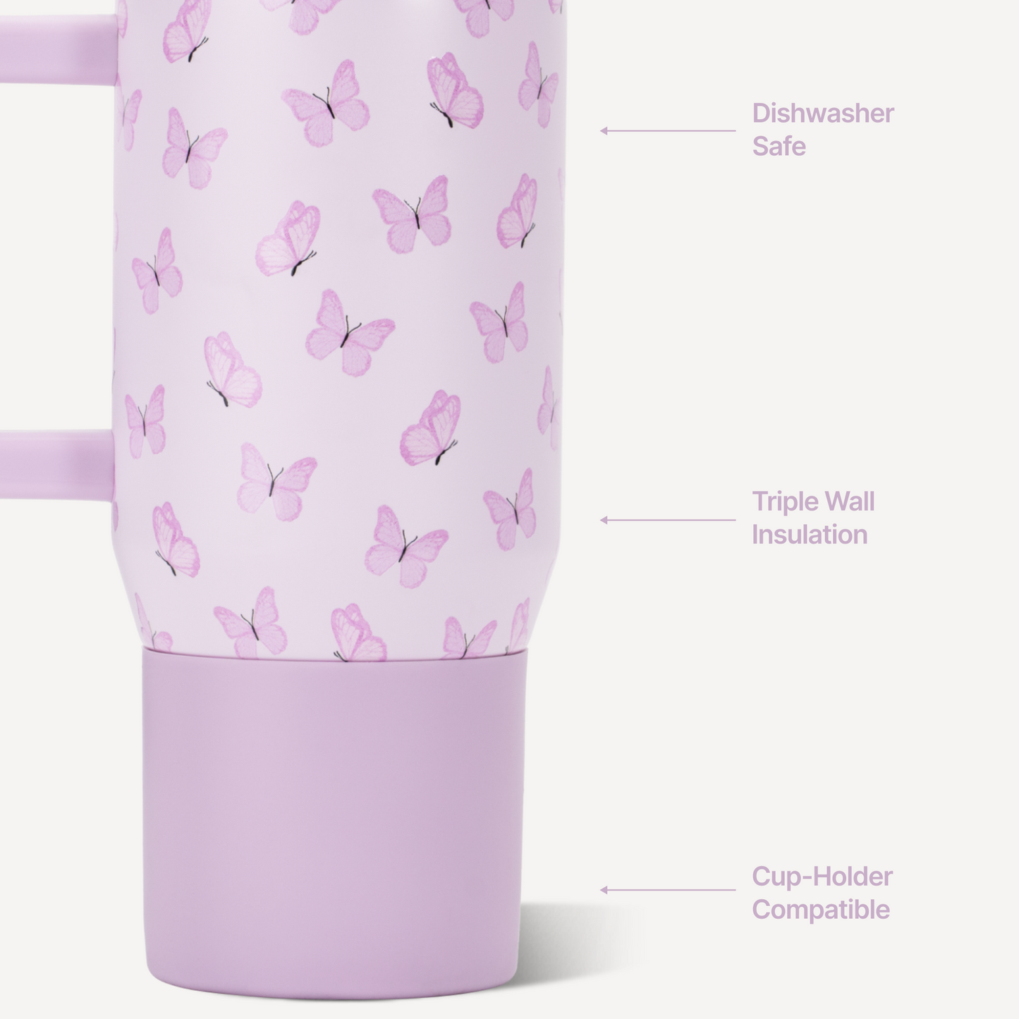 flutter-y9 TRVL20-Flutter-3-WPI.png